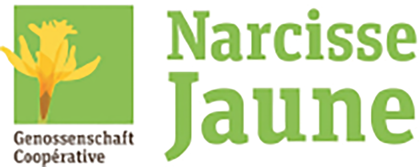 Genossenschaft Narcisse Jaune